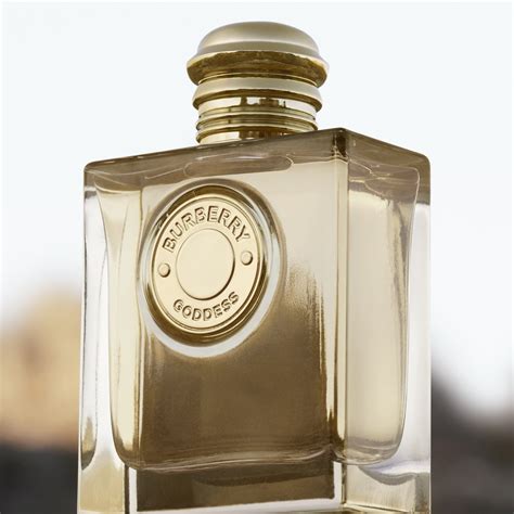 perfume burberry niño|burberry goddess macy's.